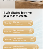Ventilador doble cabezal automático